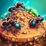 Ant Colony