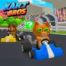 Kart Bros