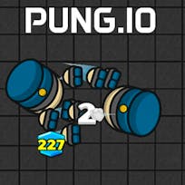 Pung.io