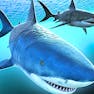 Sharks 3D Multiplayer